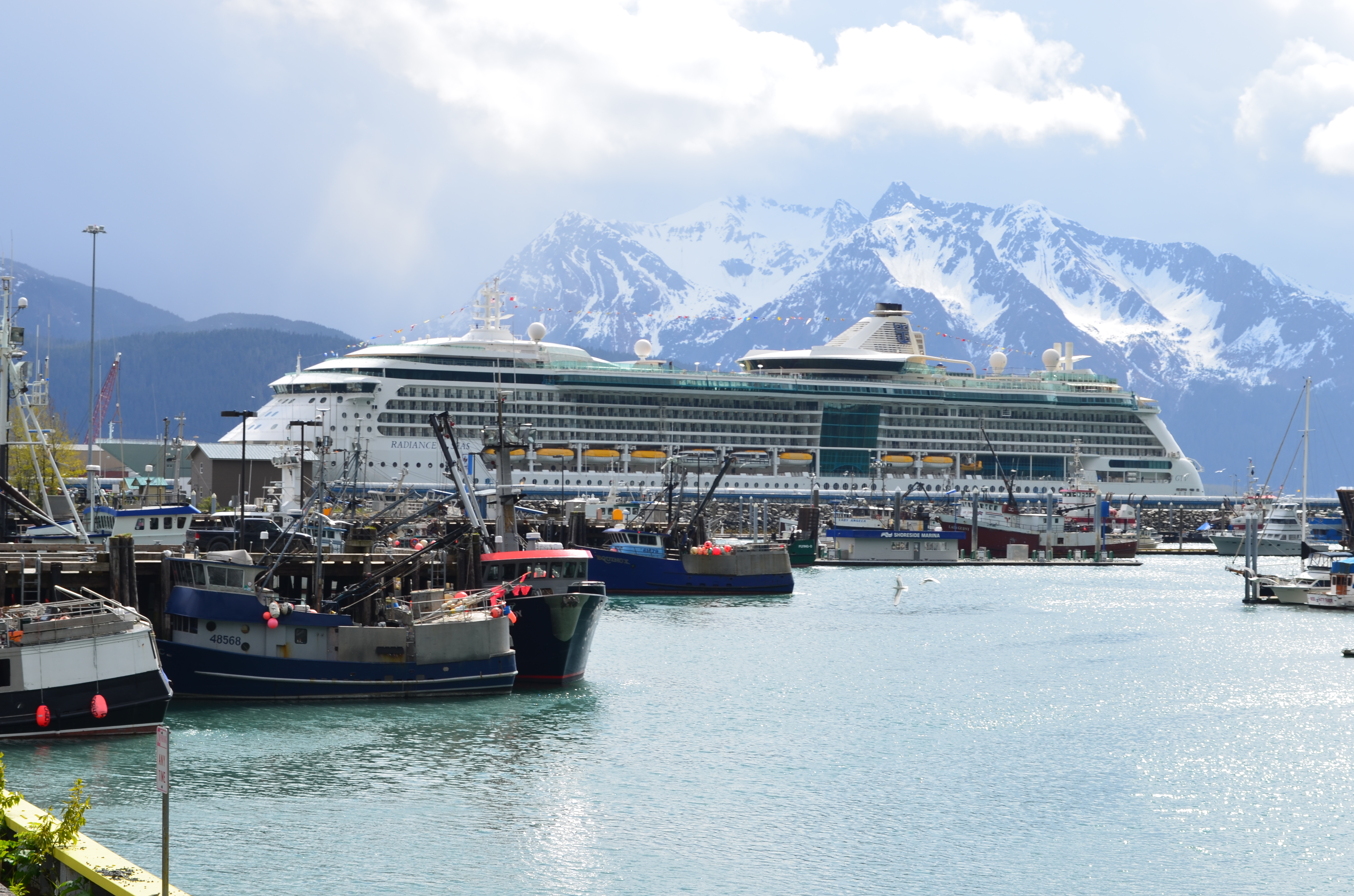 ./2017/08 - Alaska Cruise/06 - Seward/DSC_0601.JPG